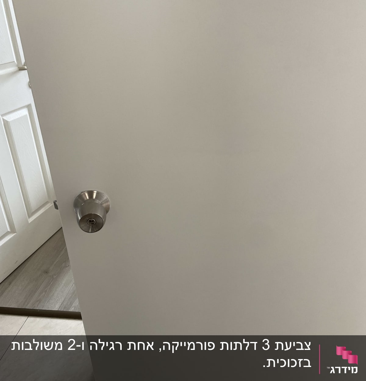 דלת לבנה עם ידית מתכת כסופה